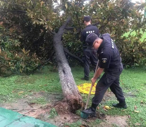 C:/Users/BA/Desktop/風雨過后南京保安迅速行動，恢復安“寧”面貌/10.jpg10